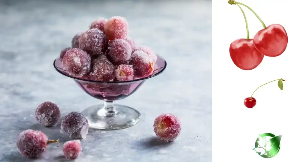 Commercial presentation of Frozen Sour Cherries for wholesale product evaluation and buyer review.